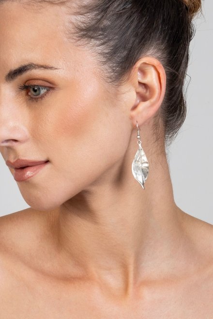 Earrings silver