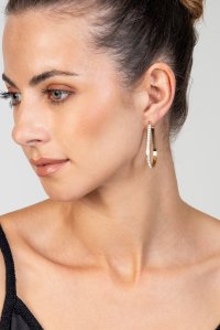 Earrings gold