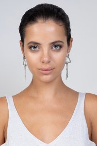 Earrings silver