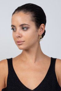 Earrings gold