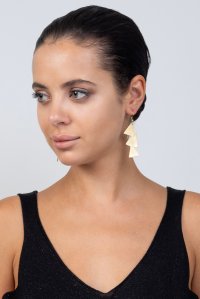 Earrings gold