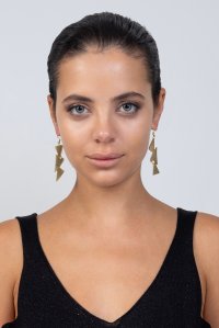 Earrings gold