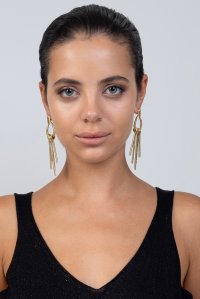 Earrings gold