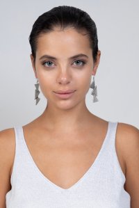 Earrings silver