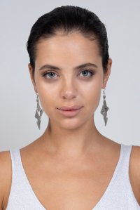 Earrings silver